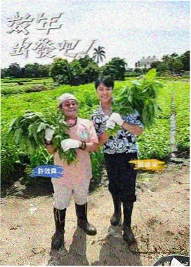 在线视频亚洲一区 脱口秀